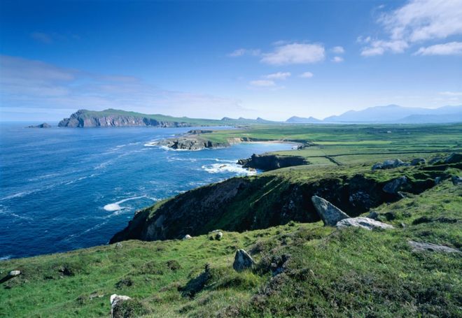 变革！爱尔兰猪肉抢占新赛道AG真人试玩平台猪肉消费大(图12)